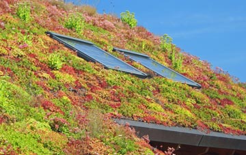 St Issey living roof systems